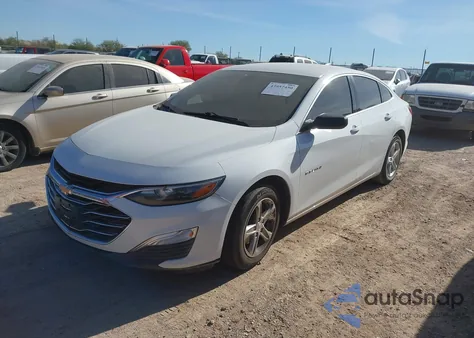 2019 Chevrolet Malibu 1Fl z USA, uszkodzony, nr VIN 1G1ZC5ST5KF111073